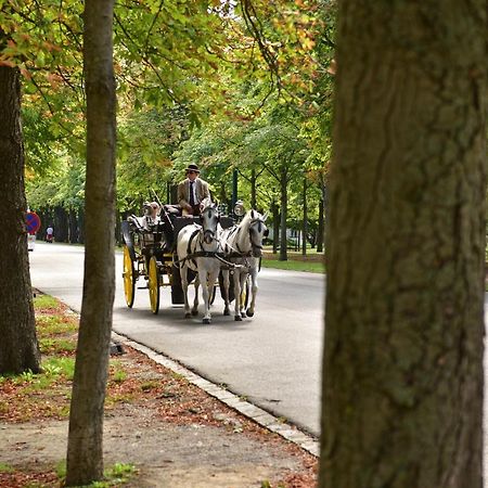 Herzlich Willkommen - Kuess Die Hand 3 Vienna Luaran gambar
